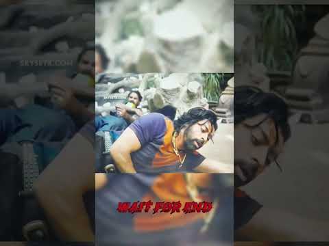 Pushpa 2 Movie viral sene #Pushpa2  #shortsfeeds #newmovie #sauth_movie