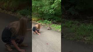Getting Too Close to a Raccoon