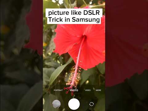 Mobile Photography Tips you should know | Camera Tips for Samsung | samsung s23 ultra bgmi test