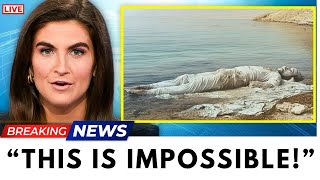 End Times Bible Prophecy About the Dead Sea Is Coming True, Leaving Christians in Awe!