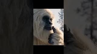 #Viral2025 #ComedyShorts #FunnyVideo #AttitudeFriend #RichVsPoor #YouTubeShorts #MemeKing #ai