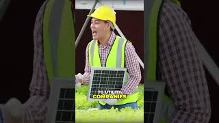 Agrivoltaics Boost Your Crop Yield and Profits  #farming #solarfarm