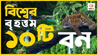 বিশ্বের বৃহত্তম ১০টি বন।Top 10 Largest Forest In The World | অজানা বিশ্ব