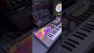 MicroKorg Crystal—sexy synth/vocoder. 🛍️ 👉 https://swiy.co/korgm #Synthesizer #MicroKorg #MusicGear