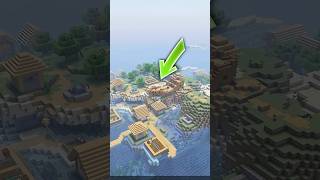 Most Rarest Village In Minecraft History #minecraft #shorts