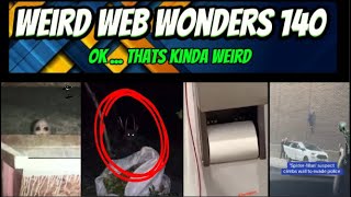 weird web wonders 140