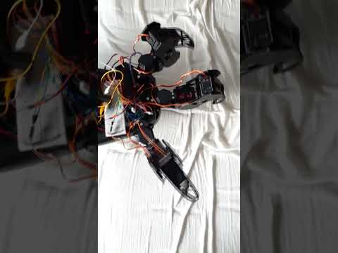Hexapod build - Day 62 #hexapod #arduino #mechatronics #engineering #robot #spider #shorts #viral