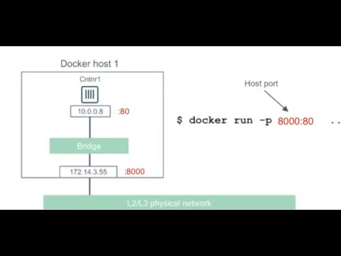Port configuration in docker container | -p option in starting docker container | port docker