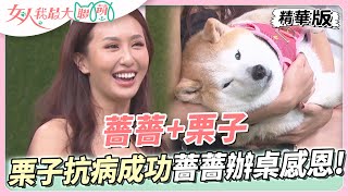 薔薔+栗子！栗子生死歷劫抗病成功！薔薔籌備辦桌感恩大家！ 女人我最大 20230710