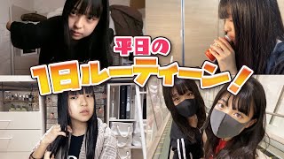 [Routine] Let us introduce what Minami does on a weekday!