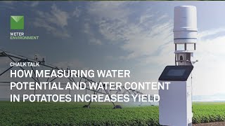 How measuring water potential and water content in potatoes increases yield | METER Chalk Talk