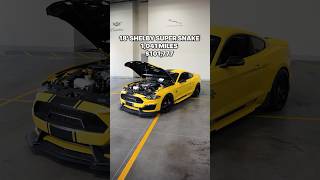 You’ve never seen a Mustang like this before👀 #shelby #supersnake #supercharged #ford #gt500 ￼