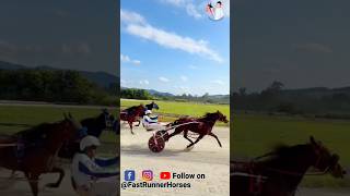 Last moments horse race 🏇 #horse #sansansehorhorse #horsecare #horsetrack #horselove #animal #shorts