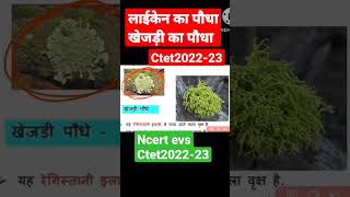 #ctetpreparation #ctet2022 #ctet_evs
