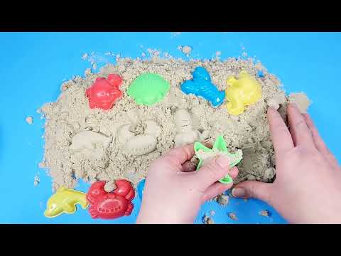 Making Sea Animals Shapes With Sand