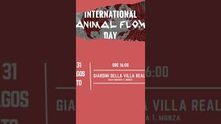 International Animal Flow Day Monza 2025