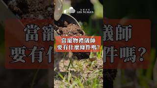 毛孩的送行者：這是一份需要溫柔與勇氣的工作
