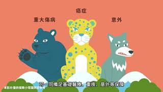 保險新手村-規劃穩定現金流，生活與保障同步加分
