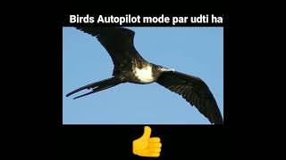Interesting facts🔥 || Amazing Facts 🔥 #shorts  #facts #facttechz