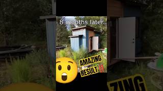 Forgotten tiny house | Epic mini mansion! The glow-up 😱 #TinyHouse #diybuild #diy #build #house