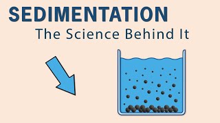 Learn Sedimentation With Animation | Key Factors Affecting Sedimentation | Sedimentation Process
