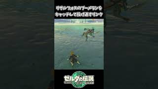 リザルフォスのブーメランを投げ返すリンクｗｗ【ゼルダの伝説 ティアーズ オブ ザ キングダム】