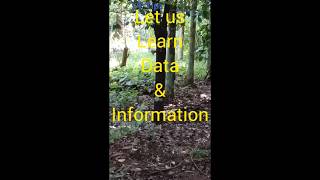 Data and Information #data #information #computer #computerknowledge #ittips