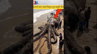 Deep Sea CREATURES You Never Knew Existed? #seacreatures