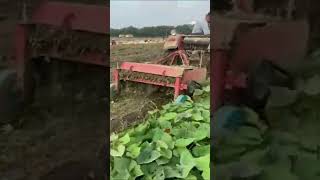 The Future of Farming: These Tools Will Change the Game