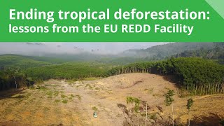 Ending tropical deforestation: lessons from the EU REDD Facility
