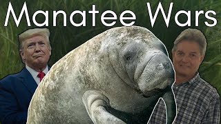 Manatees Are Being Messed With: The Hidden Threat Targeting Florida’s Famous Animal