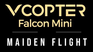 VCOPTER Falcon Mini - Maiden Flight and First Impressions (Beta test)