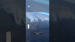 Bushfire threatening 3,000 year old Huon pine tree | ABC News