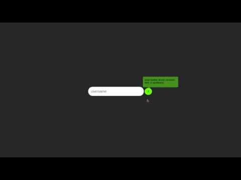 CSS3 Hint | Animation Hint for Input | Online Tutorial