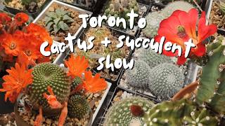 Crazy caudexes & cacti! | Toronto Cactus Show and Sale 2025