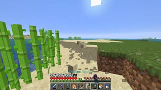 Minecraft Anarchy #032 - Understanding Tor Onion Services and Their Use Cases 2/2