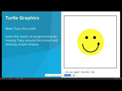 Python 1.1 - 2.3 Moving and Turning Tracy