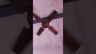 ceiling fan #magic