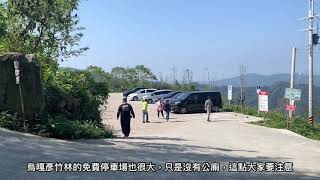 （苗栗泰安）烏嘎彥竹林、竹林秘境彷彿日本京都嵐山竹林美景。