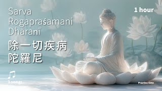 康健安樂，療癒身心的淨化契機《除一切疾病陀羅尼》3首_溫和版1小時 | Sarva rogapraśamani dhāraṇī