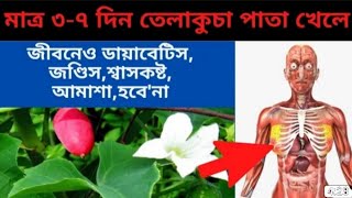 অবহেলা না করে একবার ভিডিও টি দেখুন। জানলে অবাক হয়ে যাবেন। #health #তেলাকুচা #তেলাকুচো #bangla tips