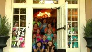 ZTA Loves MSU!