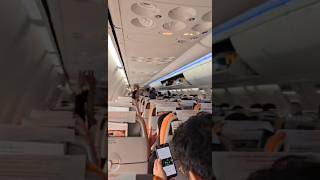 Family goes on adventure - JejuAir takes off heading to South Korea #shorts #travel