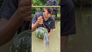 Unique Fishing Technique, Pumpkin Hook Fishing Trap#fish_trap#shorts