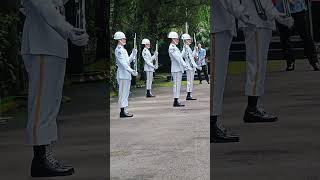 大溪陵寢每個整點半的交接儀式，哇嗚！🤩🤩#海軍儀隊 #禮兵交換#大溪#honorguards