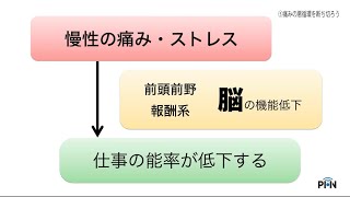 【PHN動画】報酬系・ドーパミンで前向きになる