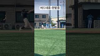 2024년 전국중학야구선수권대회 버드네중-한밭중
