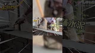 台日夫妻1日泥作學徒！DIY搬磚.砌牆改造43年老宅 @cosmosviral @rabbit.plussugar #shorts
