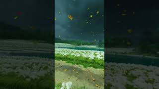 #Scenery #BeautifulScenery #CinematicVideo #NatureLovers #EpicViews #ViralVideo #TrendingNow #music