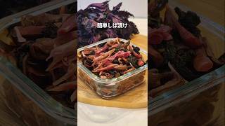 Fermented Shibazuke is rich in lactic acid bacteria and good for your body.